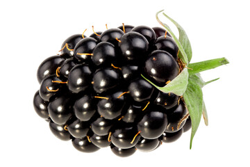 Wall Mural - Blackberry isolated on white background with clipping path