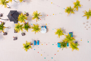 Wall Mural - seashore with palm trees and cafes. coast as a background from top view. aerial landscape. backgroun