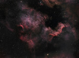 Fototapeta Kosmos - About 2200 light years from Earth, the North America Nebula NGC 7000 is a large hydrogen emission nebula in the constellation Cygnus.