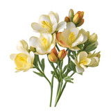 Freesia flowers on transparent background, png file, isolated, white background with generative ai