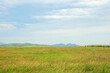 A huge boundless steppe with tall yellowed grass at the foot of a mountain range on a cloudy summer day.