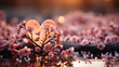 © chawalit - Pink cherry blossoms or sakura heart shapes glow on water. water reflection bokeh background after the rain twilight or sunrise, sunset. Couple on Valentine's Day, honeymoon or wedding. Generative Ai.