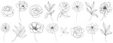 Fototapeta Perspektywa 3d - Abstract flowers isolated illustration. Wildflowers for background. Simple minimalist art set continuous line drawing.