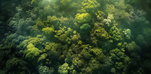 Aerial Top View Of Summer Green Trees In Forest. Mixed Forest, Green Deciduous Trees. Soft Light In Countryside Woodland Or Park. Drone Shoot Above Colorful Green Texture In Nature. Generative AI.