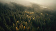 Aerial view of foggy forest in the mountains at sunset.