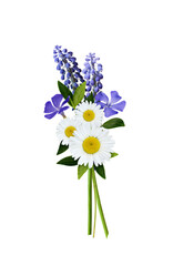Wall Mural - Wild flowers bouquet in blue color isolated on white or transparent background