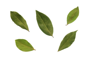 bay leaf set on a white background. laurel leaves isolated on a white background.