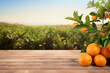Empty wood table with free space over orange trees, orange field background. For product display mon