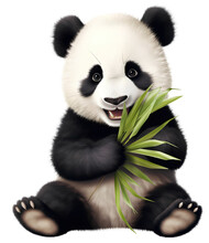 Cute Panda Cub Eating A Bamboo Leaves, Isolated On Transparent Background. Generative Ai