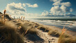 Dunes beach at the North Sea  