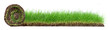 © ExQuisine - Rolling Lawn Panorama isolated on white Background