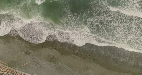 Poster - Drone scene over a wavy shoreline with an empty sand beach