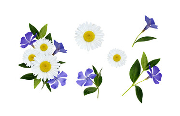 Wall Mural - set of wild flowers and a floral arrangement isolated on white or transparent background