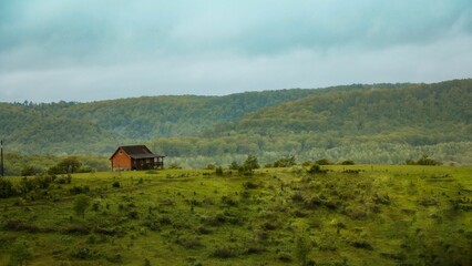 Poster - Single-story house amongst a lush green grassy field