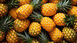 © mimadeo - pineapples texture pattern background