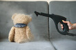 Cleaning a teddy bear with hot steam with a steam generator. Treating soft toys from house dust mites