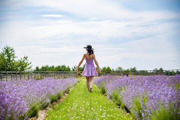 beautiful brunette smiling girl in violet dress  and black straw hat walking in the blooming field of lavender flowers 