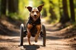 Canine Mobility Disabled Dog in Wheelchair. Generative AI