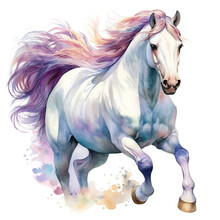 Beautiful Horse Watercolor Painting, A Colorful Stallion Galloping Across A Meadow Or Desert On A White Background