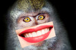 © R - A comical montage of a primate with feminine pucker: A lighthearted and entertaining composition fusing the lively expressions of a primate's face with the alluring touch of a feminine pucker.