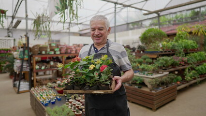 Wall Mural - One Happy older male employee carrying Flowers inside Plant Store. Local business shop of senior person working with gardening