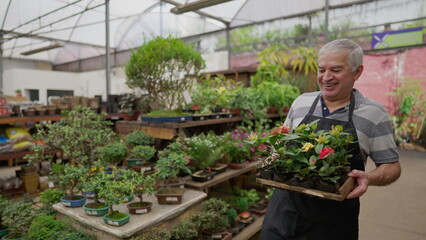 Wall Mural - One Happy older male employee carrying Flowers inside Plant Store. Local business shop of senior person working with gardening