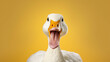 Goose Looking at the Camera. Solid color background with empty space for text. Web Banner template. Generative AI