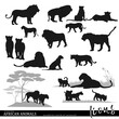 Lion silhouettes set with wildlife scenes. African savannah animals. Vector illustration.