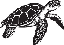 Turtle Tortoise Reptile Water Animal