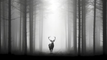 Misty Morning In The Forest, Deer In Misty Foggy Forest, Generative Ai