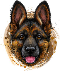 Wall Mural - a german shepherd puppy. color, graphic portrait of a shepherd puppy's head in watercolor style on a