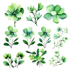 Green flowers set, flat vector illustration isolated on white background. Green floral plant decorative	