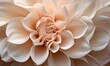 © Anna - a close up of a large flower with a brown center.  generative ai