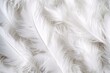white feathers background, generative ai