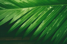 Green Striped Palm Leaf Texture. Generative AI