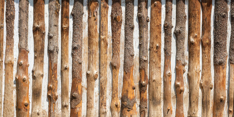 Wall Mural - Old wooden wall trimmed half log, background.