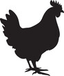 chicken vector silhouette illustration