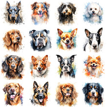 Set Of Dogs Of Various Breeds Painted In Colorful Watercolor On A White Background In A Realistic Manner.