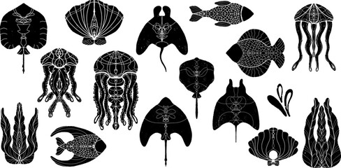 Marine animals, fish, stingrays, jellyfish, algae, shells. Vector set of black design elements, hand drawn in linocut style, minimalism, scandinavian style, graphics.