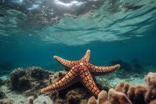 Starfish In The Ocean,ai Generated