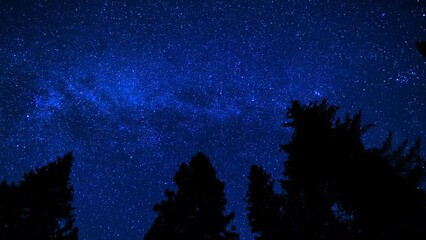 Sequoia National Park Milky Way Galaxy and Perseid Meteor Shower Over Forest Sierra Nevada Mountains California USA