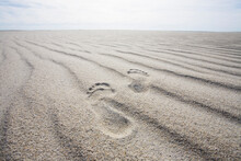 Footprints On Rippled Sand On Beach