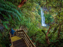 New Zealand, Taranaki, Egmont National Park, Hiker Walking Down Wooden Stairs Towards Waterfall