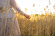 © Tetra Images - Young woman touching plants in field at sunset