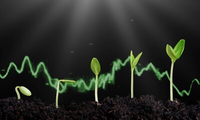 Canvas Print - Growing finance concept and green young plants