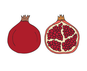 Sticker - Vector hand drawn sketch doodle colored pomegranate isolated on white background