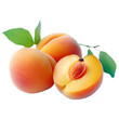 Apricot fresh Apricot slice of Apricot png isolated Apricot transparent background