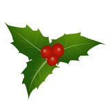 Fototapeta Miasto - Holly berry leaves Christmas. PNG illustration
