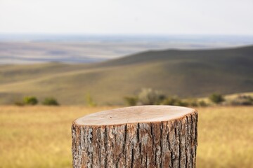 Canvas Print - Tree trunk Podium on nature background,