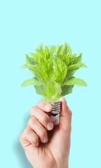 Wall Mural - eco-friendly concept, lightbulb with green fresh leaves